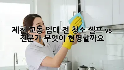 제천 교동 임대 전 청소: 셀프 vs 전문가, 무엇이 현명할까요?